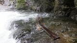 【人気の景勝地】西沢渓谷を全面通行止め 歩道の一部が冠水 大雨の影響 山梨|TBS NEWS DIG