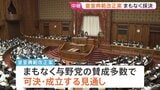 皇室典範改正案まもなく可決・成立へ 午前中には「国旗損壊罪」法が成立 一部の野党から「表現の自由」や「思想の自由」を侵害しかねないとの指摘も|TBS NEWS DIG