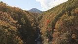 「コントラストがすごくきれい」海外観光客も…裏磐梯で紅葉見頃　福島　|　福島のニュース│TUF