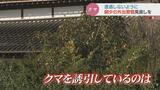 相次ぐクマ被害「生活リズムを安全対策寄りに!」クマの専門家が警鐘…出会わないことが重要!富山|TBS NEWS DIG