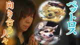 「思い出したらいつでも涙が」２匹の犬が死んだ悲しみは今も...選んだのは“飼い主とペットが一緒に入れる”納骨堂「やっと落ち着くね」【ペットロス】|TBS NEWS DIG