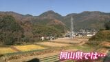岡山県では11月の「クマ」の出没数が「ゼロ」 昨年は19件だったのになぜ?専門家に理由と対策を聞いた | 岡山・香川のニュース | 天気 | RSK山陽放送
