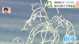 「これが-20℃の世界か…」北海道陸別町で今シーズン最低の-27.5℃　“ダイヤモンドダスト”に“樹氷”車内のペットボトルも凍る寒さ「鼻の毛も凍る体験ができてうれしい」|TBS NEWS DIG