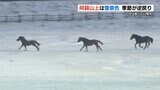 阿蘇山上は雪景色 野焼き後の草千里は銀世界 日中の県内は穏やかに晴れる見込み 熊本 | 熊本のニュース|RKK NEWS|RKK熊本放送