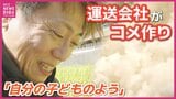 「コメの出来は100点満点の120点」「稲穂は自分の子どものよう」　運送会社がコメ作りに参入　ことし初収穫のコメその味は？　広島県世羅町　|　RCC NEWS | 広島ニュース | RCC中国放送