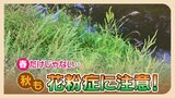 鼻水・咳・・・・もしかしたら風邪ではなく”花粉症”かも!?秋も花粉症に注意!春より症状がひどくなることも | 福岡のニュース|RKB NEWS|RKB毎日放送