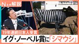 19年連続で日本人受賞「イグ・ノーベル賞」 日本人受賞者が多いワケは“懐の広さ”?【Nスタ解説】|TBS NEWS DIG