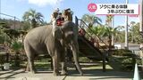 アジアゾウ「みどり」に乗って記念撮影会 宮崎市フェニックス動物園で3年ぶりに再開 | MRTニュース | MRT宮崎放送
