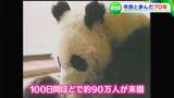 池田動物園「70歳の誕生日」入園者は40年間で約3割減... “70年のあゆみ” が私たちに問い掛けるもの【岡山】|TBS NEWS DIG
