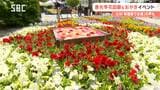 長野市の中心市街地でイベント　「善光寺花回廊」「ながの100年フードフェス」にぎわう　物価高やガソリン代高騰を背景に…「近場で過ごす」声も多く　長野|TBS NEWS DIG