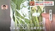 【危機】北海道の農業・医療を直撃…中東情勢悪化で「ナフサ」不足　包装材届かず野菜出荷に不安　医薬品の供給不足や処方に懸念　|　北海道のニュース｜HBC北海道放送