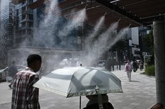 本格的な暑さを迎える前に知っておきたい「暑熱順化」2026年夏の熱中症対策| TBS CROSS DIG with Bloomberg