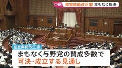 皇室典範改正案まもなく可決・成立へ　午前中には「国旗損壊罪」法が成立　一部の野党から「表現の自由」や「思想の自由」を侵害しかねないとの指摘も| TBS CROSS DIG with Bloomberg