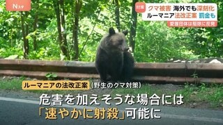 欧州でもクマの被害増加「駆除枠の拡大や速やかに射殺」の法改正進めるも「駆除では問題解決しない」と動物愛護団体は反発| TBS CROSS DIG with Bloomberg