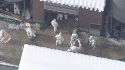 村上市の養鶏場で鳥インフルエンザ これまでに27万360羽を処分【新潟