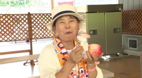 「んー甘い！」20分間の食べ放題も人気…十分な日差しで甘みもアップ、旬のモモ狩りに大勢の観光客　|　SBC NEWS | 長野のニュース | SBC信越放送