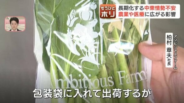 【危機】北海道の農業・医療を直撃…中東情勢悪化で「ナフサ」不足　包装材届かず野菜出荷に不安　医薬品の供給不足や処方に懸念　|　北海道のニュース｜HBC北海道放送