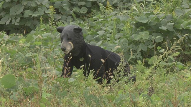 環境省が緊急猟銃の訓練開催 福島県内のクマ目撃件数は過去最多|TBS NEWS DIG