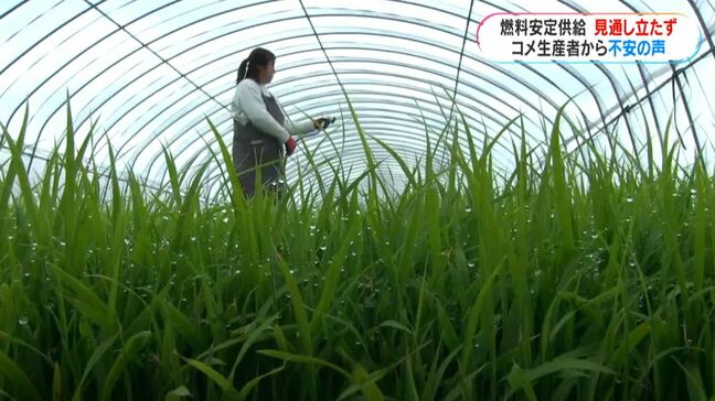 田植え準備進むも燃料の安定供給見通し立たず　コメ生産者から不安の声|TBS NEWS DIG