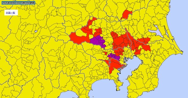 【ゲリラ雷雨】関東広域に「レベル3警報」埼玉・東京の一部に「レベル4危険警報」急な激しい雨で土砂災害の危険度急上昇【雨と風のシミュレーション】 |TBS NEWS DIG