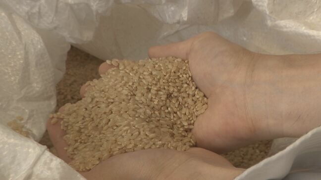 小売業者から精米の依頼はあったが備蓄米が届かない… 随意契約の備蓄米が店頭に出回るのは早くて来週以降か|TBS NEWS DIG