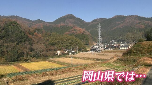 岡山県では11月の「クマ」の出没数が「ゼロ」 昨年は19件だったのになぜ?専門家に理由と対策を聞いた|TBS NEWS DIG
