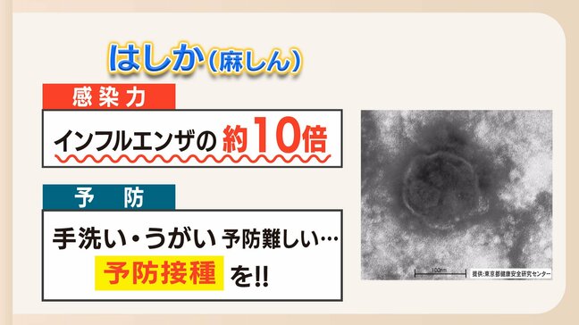 空気感染する「はしか」　特に注意が必要なのは30代と40代　そしてワクチン2回接種していない子供【専門家が解説】|TBS NEWS DIG