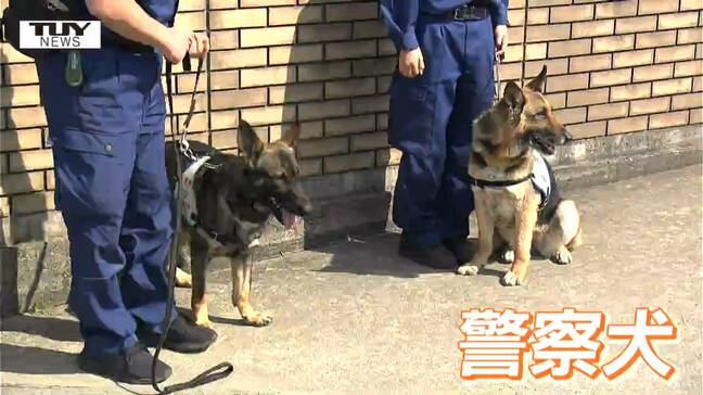 警察犬が全身で安全安心を訴える！ 登下校時の危険を防ぐための防犯教室　児童たちも釘付け！（山形）|TBS NEWS DIG