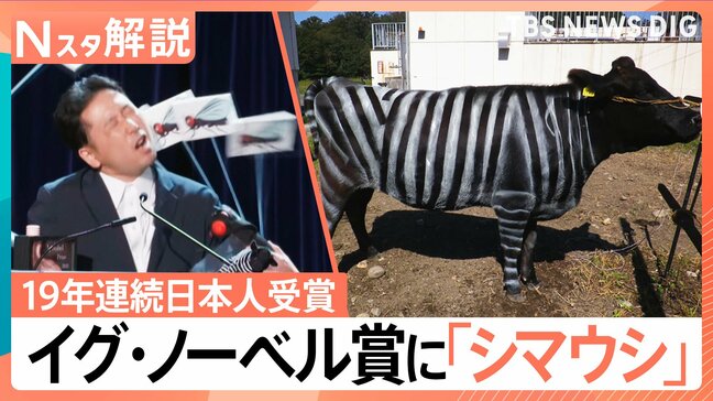 19年連続で日本人受賞「イグ・ノーベル賞」 日本人受賞者が多いワケは“懐の広さ”?【Nスタ解説】|TBS NEWS DIG