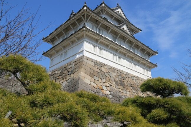 福山城・伏見櫓「国宝化」に向け新たな糸口　400年前 京都・伏見城からの移築を裏付けへ　「天下人の城」継承の謎に迫る|TBS NEWS DIG