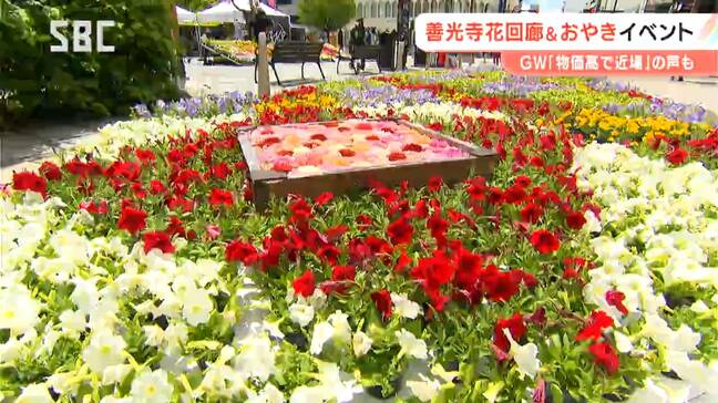 長野市の中心市街地でイベント　「善光寺花回廊」「ながの100年フードフェス」にぎわう　物価高やガソリン代高騰を背景に…「近場で過ごす」声も多く　長野|TBS NEWS DIG