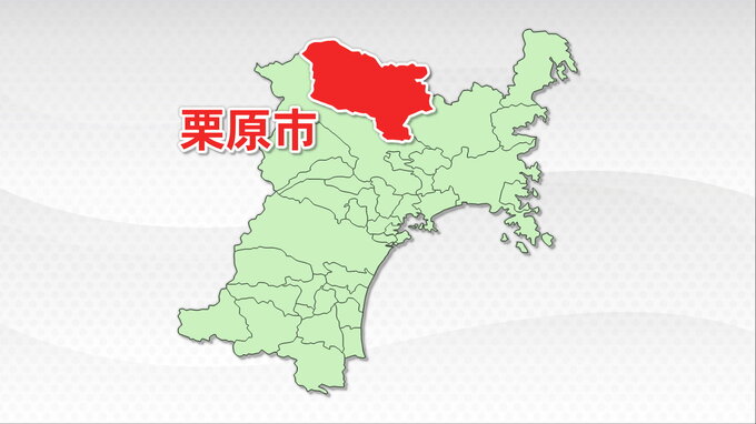 「家の屋根の上にサルがいる」住宅地にサル1匹が出没　被害は確認されず　宮城・栗原市|TBS NEWS DIG