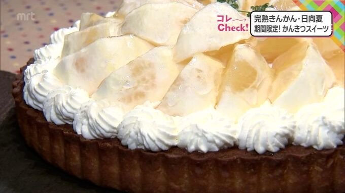 今が旬!宮崎が誇る「完熟きんかん」「日向夏」を使った期間限定スイーツ3選　|　MRTニュース ｜ ＭＲＴ宮崎放送