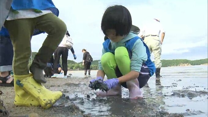 海の命にとって大切な藻場の状態を調べて実感　環境保全について学ぶ「TOYOTA SOCIAL FES !!」【岡山】|TBS NEWS DIG