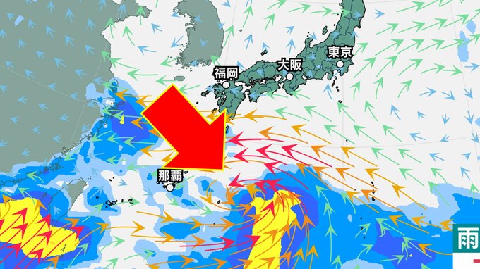 【台風情報】台風6号はベトナムへ…一方、日本の南では別の『熱帯じょう乱』の可能性【雨と風の最新シミュレーション】19日22時更新|TBS NEWS DIG