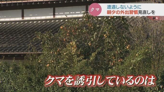 相次ぐクマ被害「生活リズムを安全対策寄りに！」クマの専門家が警鐘…出会わないことが重要！富山|TBS NEWS DIG