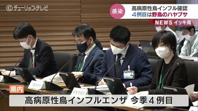 野鳥のハヤブサから高病原性鳥インフルエンザウイルス検出　今シーズン4例目　富山　|　富山のニュース｜天気・防災｜チューリップテレビ