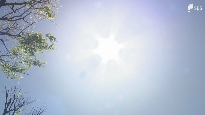 静岡市で30℃記録 本州で今年初の真夏日に【速報】|TBS NEWS DIG