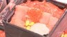 サーモン食べ比べ丼、たい焼き…　毎年人気の「北海道の物産と観光展」カワトクで始まる　岩手・盛岡　|　IBC NEWS | IBC岩手放送