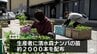 江戸時代から受け継がれてきたトウガラシ「清水森ナンバ」　生産者たちに苗配られる　青森県弘前市　|　青森のニュース│ATV NEWS│青森テレビ
