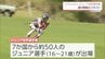 日本で25年ぶりの開催　グラススキーのジュニア世界選手権が国富町で始まる　宮崎県関係選手も5人出場　|　MRTニュース ｜ ＭＲＴ宮崎放送