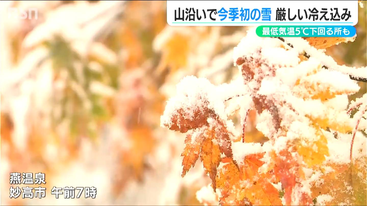 きょうは立冬 暦通り新潟県内は各地で今季一番の厳しい冷え込みに 山