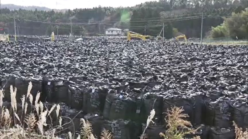 img_6419e200bf6b317fa1f6fb31a0