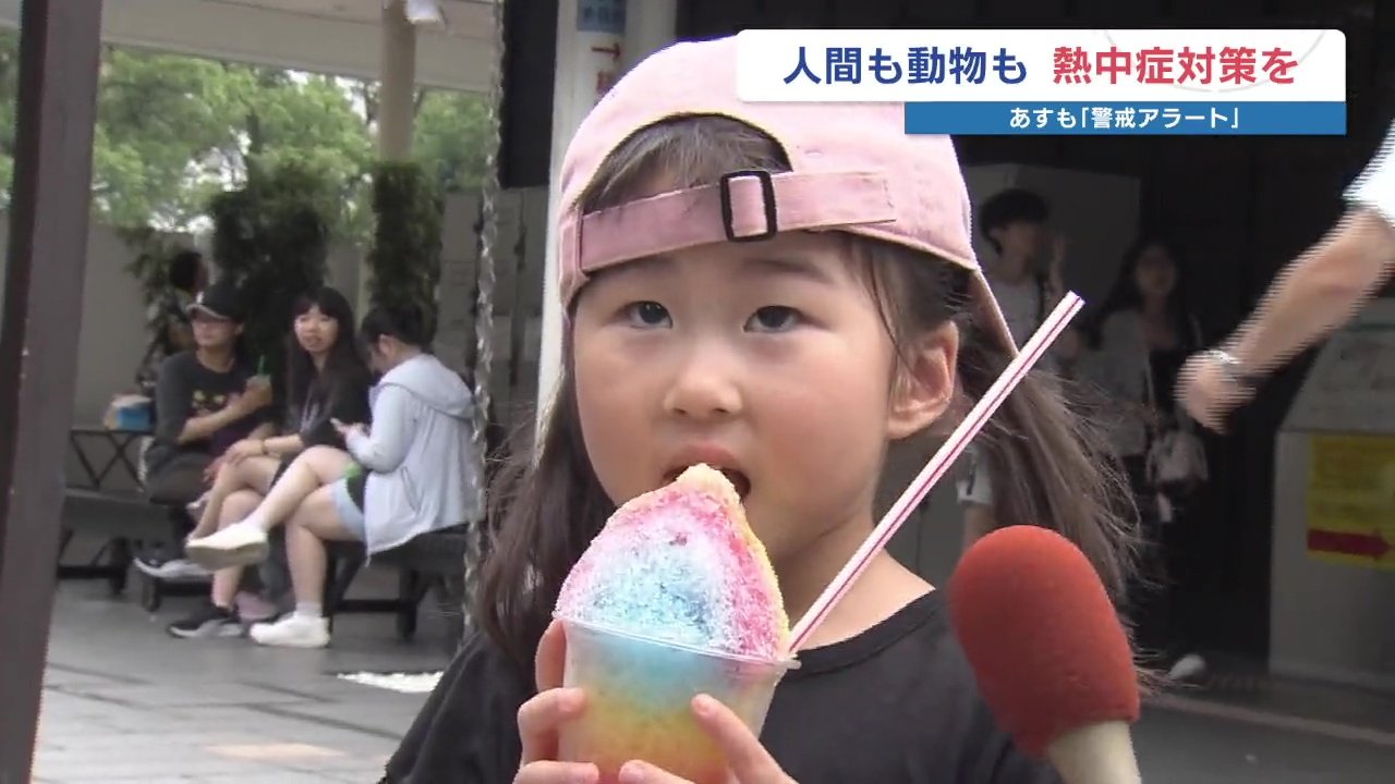 暑い！冷たいスイーツが絶好調 ホクホクの熊本名物よりも・・・ | 熊本