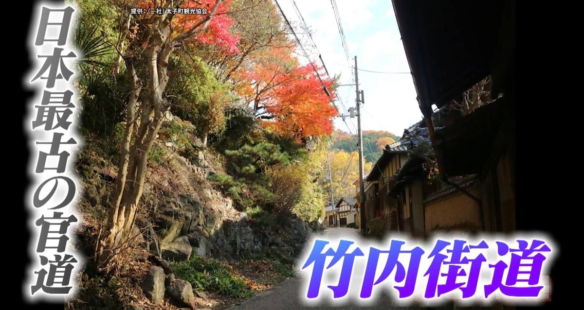 古道を辿ると“地名の由来”が分かる！？日本書紀にも記された日本最古の官道「竹内街道」【道との遭遇】
