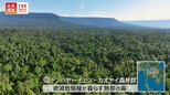 滝に落ちた子ゾウを救おうとしてゾウが次々と落下・・・悲劇ののち世界遺産になったタイの森【世界遺産/ドンパヤーイェン-カオヤイ森林群(タイ)】|TBS NEWS DIG