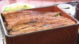 「ウナギが戻ってくれただけでも良かった」市場価格2割以上値下がり　一方で他の材料は値上がり　山梨　|　山梨のニュース | ＵＴＹテレビ山梨