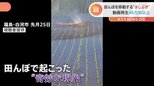 田んぼで“奇妙な現象”に遭遇!まるで風神さま?それとも妖怪?その正体とは?|TBS NEWS DIG