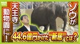 【8年ぶり】天王寺動物園にゾウが来た!“バスケコート16面分”総工費44.6億円の『ゾウ舎』を福島アナが取材…3つのヒミツに迫る!一般公開前に会いに行ってみた!【解説】 | MBSニュース | 関西の最新ニュースを分かりやすく。