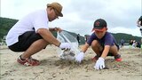 大堂津海水浴場でビーチクリーン活動　|　MRTニュース ｜ ＭＲＴ宮崎放送